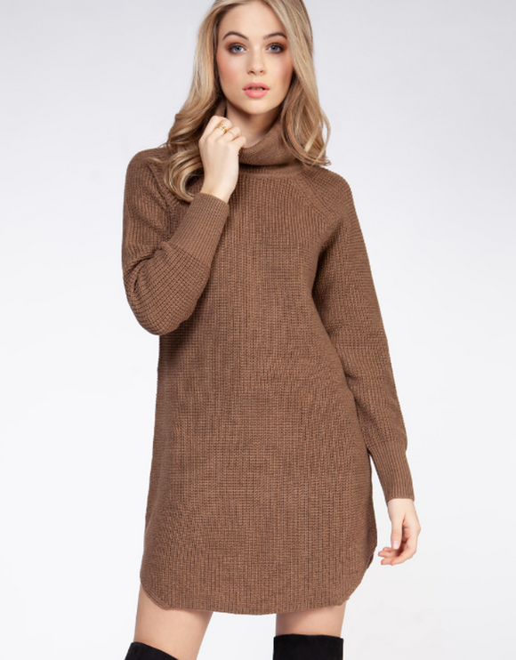 1622033 DEX Turtle Neck Sweater Dress